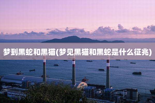 梦到黑蛇和黑猫(梦见黑猫和黑蛇是什么征兆)