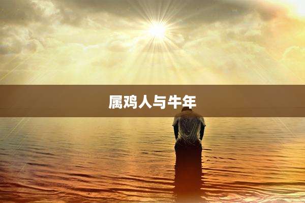 属鸡人与牛年