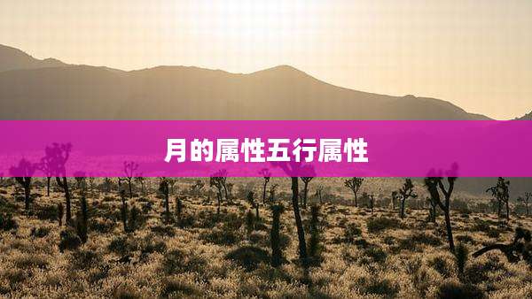 月的属性五行属性