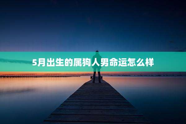 5月出生的属狗人男命运怎么样