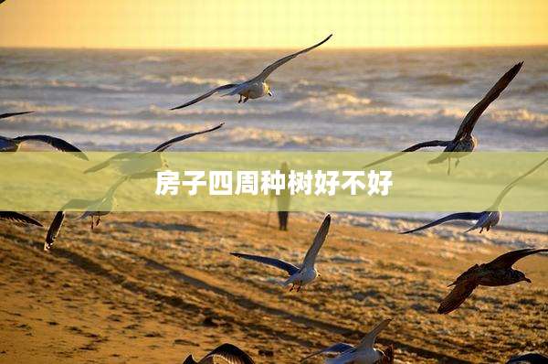 房子四周种树好不好