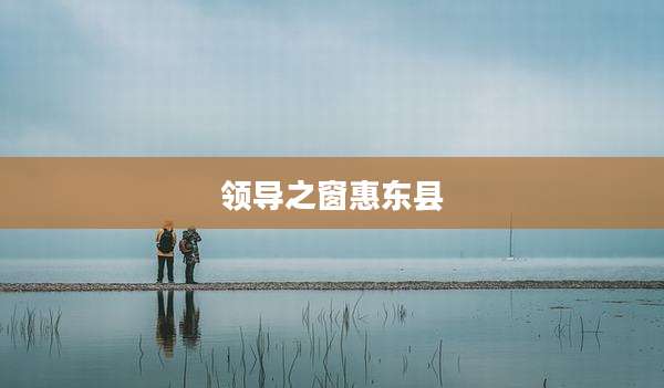 领导之窗惠东县
