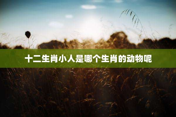 十二生肖小人是哪个生肖的动物呢