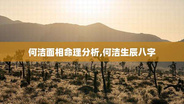 何洁面相命理分析,何洁生辰八字