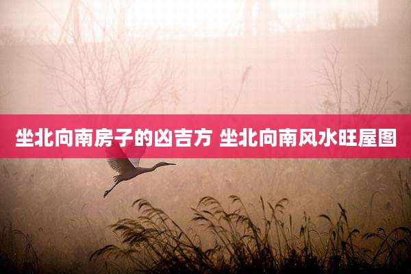 坐北向南房子的凶吉方 坐北向南风水旺屋图