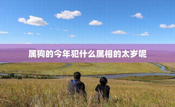 属狗的今年犯什么属相的太岁呢