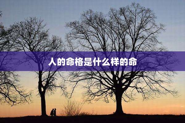 人的命格是什么样的命