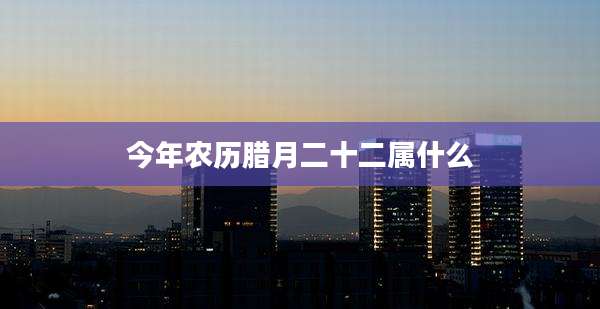 今年农历腊月二十二属什么