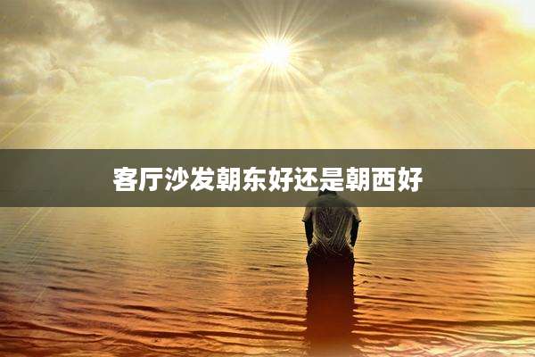 客厅沙发朝东好还是朝西好