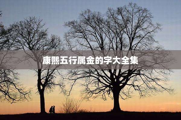 康熙五行属金的字大全集