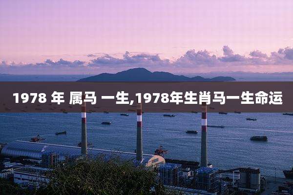 1978 年 属马 一生,1978年生肖马一生命运