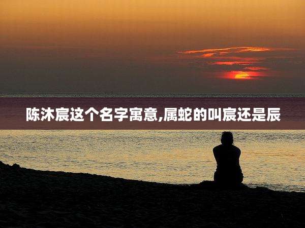 陈沐宸这个名字寓意,属蛇的叫宸还是辰