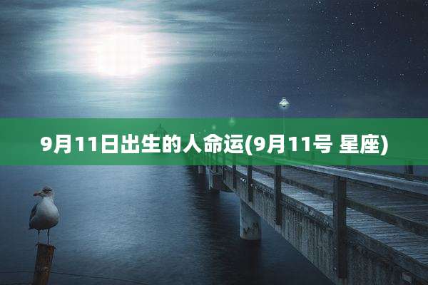 9月11日出生的人命运(9月11号 星座)