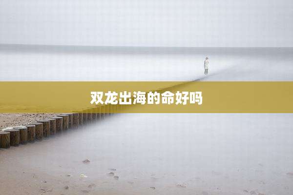 双龙出海的命好吗
