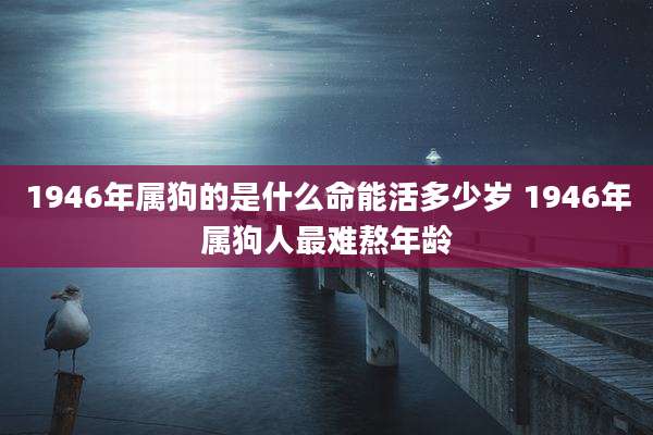 1946年属狗的是什么命能活多少岁 1946年属狗人最难熬年龄