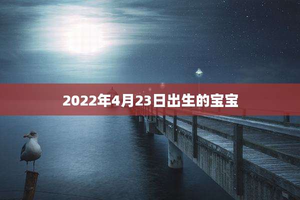 2022年4月23日出生的宝宝