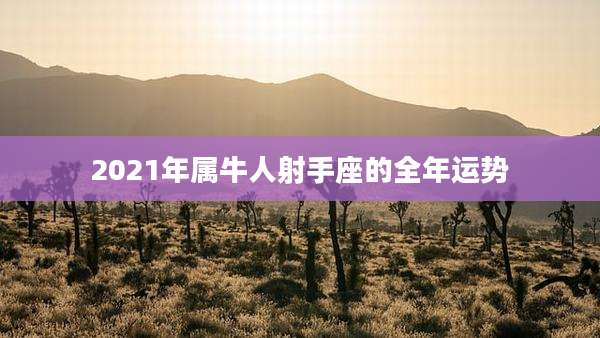 2021年属牛人射手座的全年运势