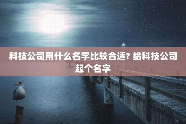 科技公司用什么名字比较合适? 给科技公司起个名字