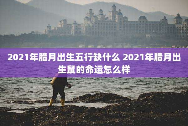 2021年腊月出生五行缺什么 2021年腊月出生鼠的命运怎么样