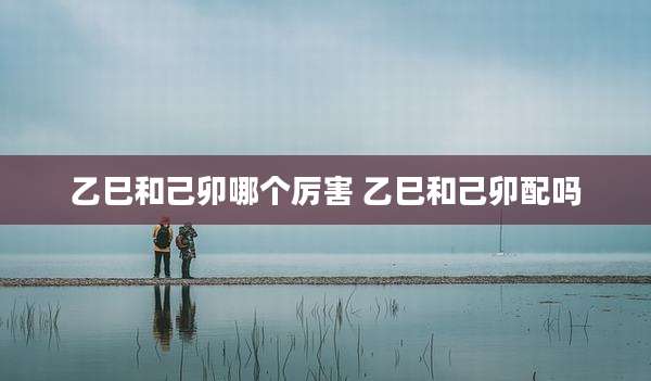乙巳和己卯哪个厉害 乙巳和己卯配吗