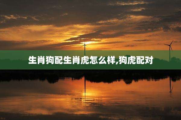 生肖狗配生肖虎怎么样,狗虎配对