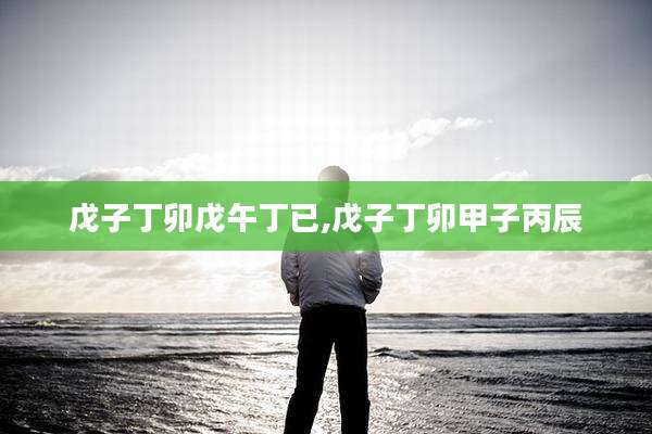 戊子丁卯戊午丁已,戊子丁卯甲子丙辰