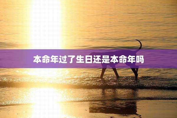本命年过了生日还是本命年吗