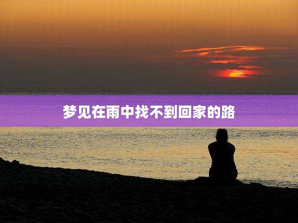 梦见在雨中找不到回家的路