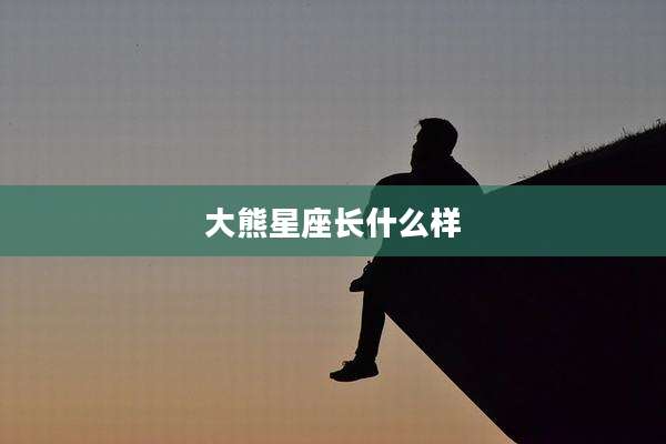 大熊星座长什么样