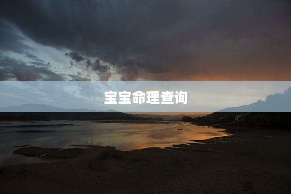 宝宝命理查询
