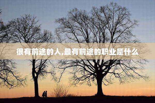 很有前途的人,最有前途的职业是什么