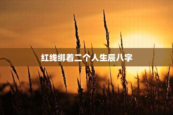 红线绑着二个人生辰八字