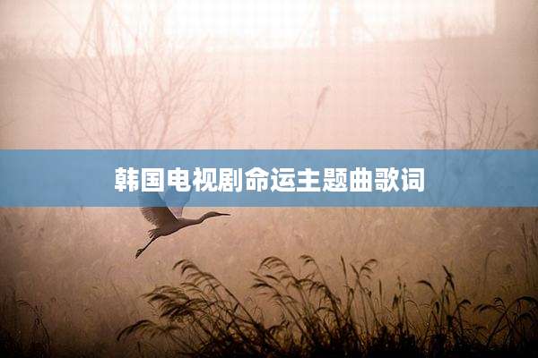 韩国电视剧命运主题曲歌词