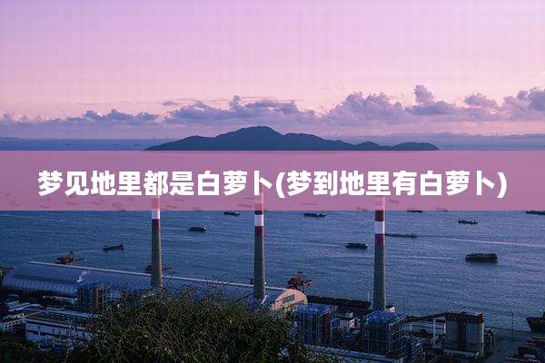 梦见地里都是白萝卜(梦到地里有白萝卜)