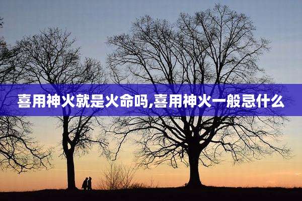 喜用神火就是火命吗,喜用神火一般忌什么