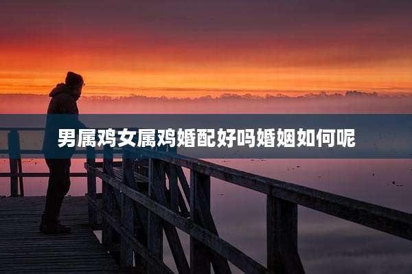 男属鸡女属鸡婚配好吗婚姻如何呢