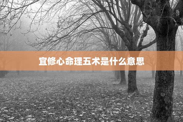 宜修心命理五术是什么意思