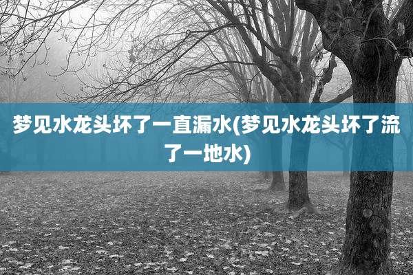 梦见水龙头坏了一直漏水(梦见水龙头坏了流了一地水)