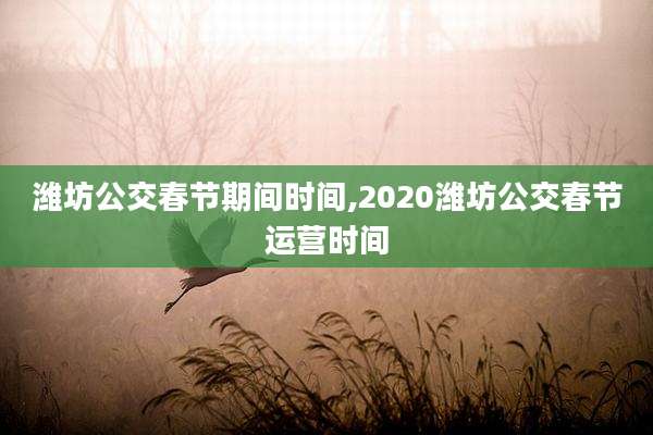 潍坊公交春节期间时间,2020潍坊公交春节运营时间