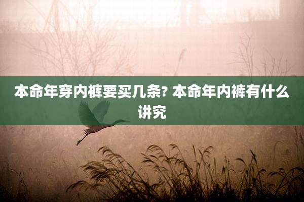本命年穿内裤要买几条? 本命年内裤有什么讲究