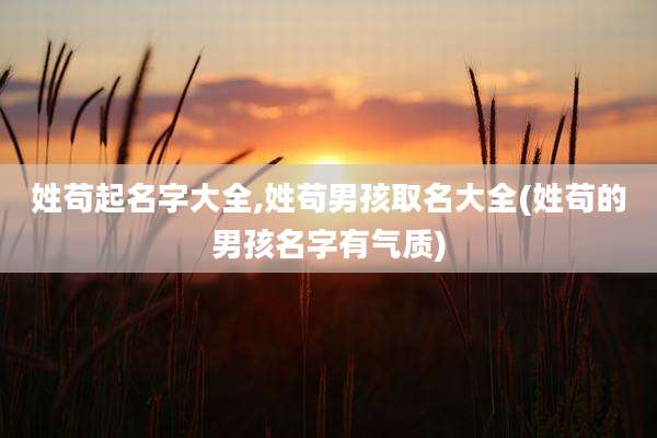 姓苟起名字大全,姓苟男孩取名大全(姓苟的男孩名字有气质)