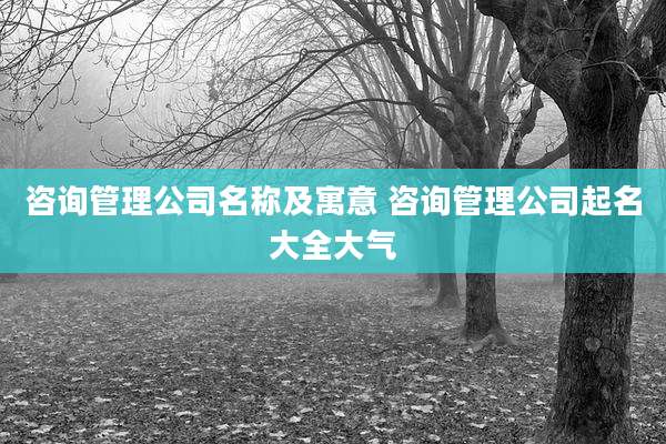 咨询管理公司名称及寓意 咨询管理公司起名大全大气