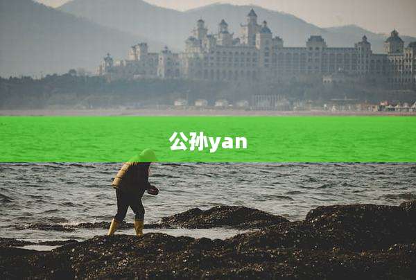 公孙yan