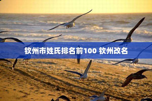 钦州市姓氏排名前100 钦州改名