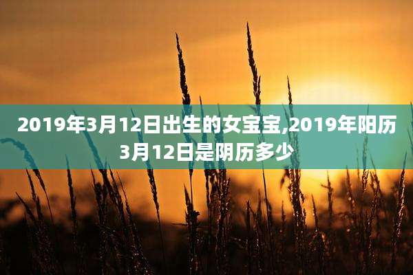 2019年3月12日出生的女宝宝,2019年阳历3月12日是阴历多少