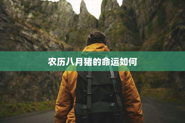 农历八月猪的命运如何