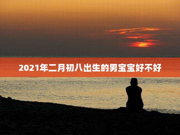 2021年二月初八出生的男宝宝好不好