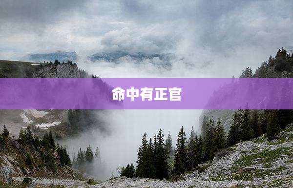 命中有正官