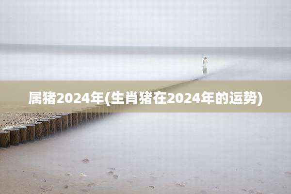 属猪2024年(生肖猪在2024年的运势)