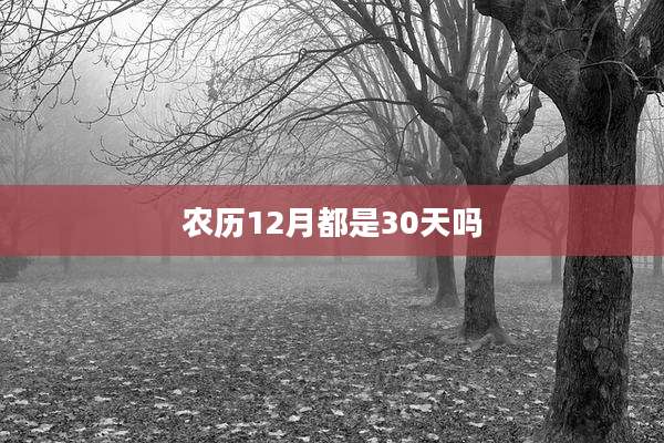 农历12月都是30天吗